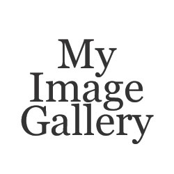 my gallery