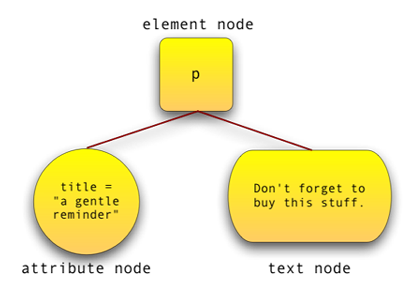 The nodes of a single element